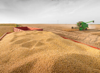 La soja siguió su repunte en Chicago y tuvo una suba diaria de $5000 en Rosario