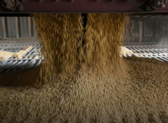 La soja continuó su rally alcista en Chicago y ganó $10.000 por tonelada en Rosario