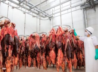 Argentina podrá exportar vísceras y subproductos de origen animal a Chile