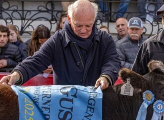 “La ganadería arraiga mucho; donde hay vacas, hay vida”: tras 25 años, se retira un referente de los Angus