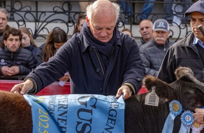 “La ganadería arraiga mucho; donde hay vacas, hay vida”: tras 25 años, se retira un referente de los Angus