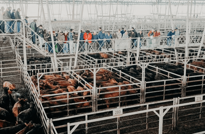 El precio de la carne, en días de Fiestas: para la Sociedad Rural Argentina hay “10 claves estructurales” que explican subas