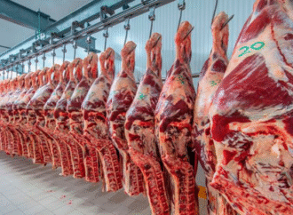 Carne vacuna: se rompe un ciclo de crecimiento y se contrae la oferta global