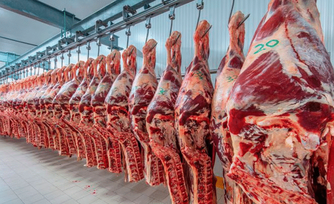 Carne vacuna: se rompe un ciclo de crecimiento y se contrae la oferta global