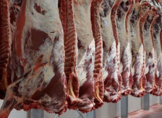 Nueva caída en las exportaciones de carne vacuna: más del 5% en volumen y casi un 8% en valor