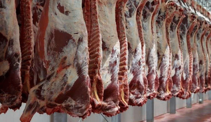 Nueva caída en las exportaciones de carne vacuna: más del 5% en volumen y casi un 8% en valor