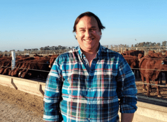 El Feedlot argentino pone énfasis en las hormonas de crecimiento como estrategia para mayor eficiencia