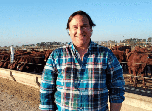 El Feedlot argentino pone énfasis en las hormonas de crecimiento como estrategia para mayor eficiencia