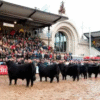 Una sola raza: en un hecho histórico Angus tendrá un único Gran Campeón en Palermo 2026