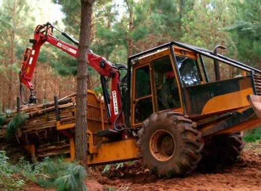 Industria de la madera: un sector que se “amolda” y muestra señales de estabilización