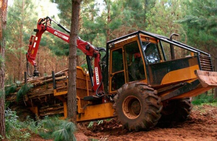 Industria de la madera: un sector que se “amolda” y muestra señales de estabilización