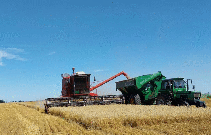 “Un momento único”: el trigo llega a 110 quintales y promedia 60 qq/ha en la zona núcleo