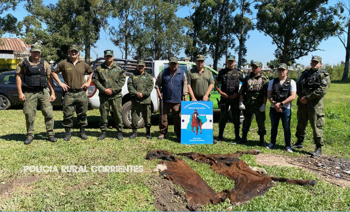 Por el nuevo Código Penal, condenan rápidamente a un carnicero por vender carne de abigeato