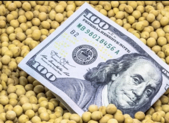 La liquidación de dólares del agro se desplomó 32% en noviembre y entraron solo u$s760 millones