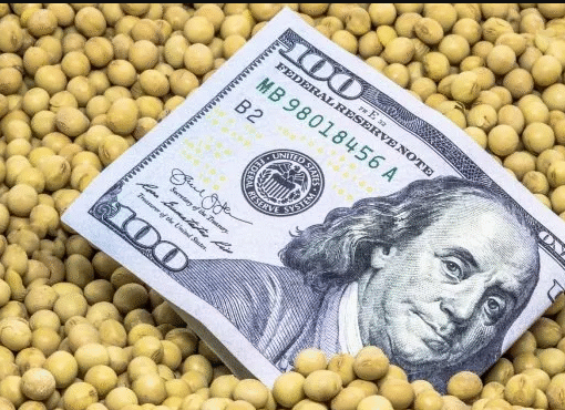 La liquidación de dólares del agro se desplomó 32% en noviembre y entraron solo u$s760 millones