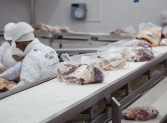 Carne vacuna: noviembre dejó al descubierto cuánto depende Argentina del mercado chino