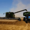 La supercosecha de trigo y un gran desafío: ¿es posible exportar más de 20 millones de toneladas?