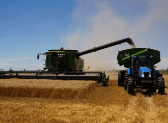 La supercosecha de trigo y un gran desafío: ¿es posible exportar más de 20 millones de toneladas?