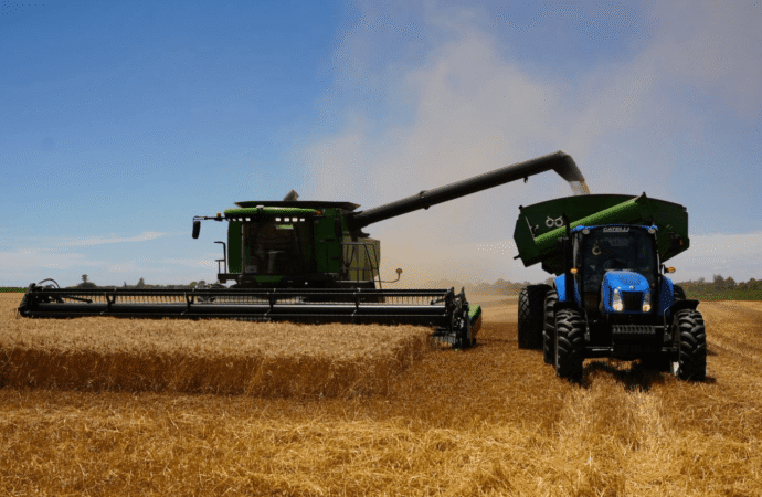 La supercosecha de trigo y un gran desafío: ¿es posible exportar más de 20 millones de toneladas?