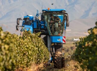 2025, el año del leve crecimiento global para la producción de vino