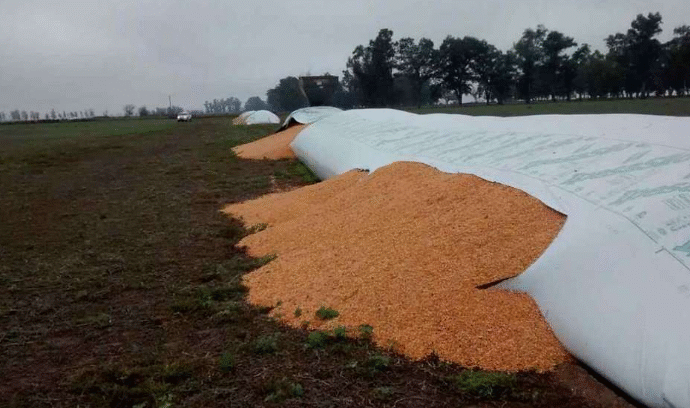 Una entidad del campo propone crear el delito de vandalismo para combatir los delitos rurales