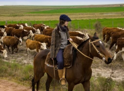 Manos que cuidan la tierra: la sustentabilidad en el agro, una cuestión de familia