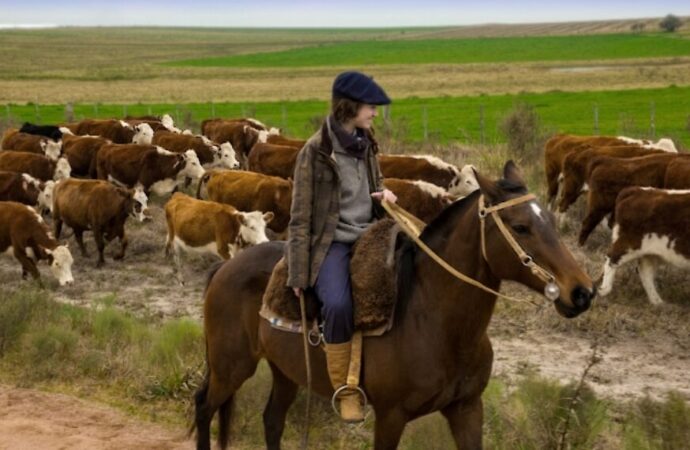 Manos que cuidan la tierra: la sustentabilidad en el agro, una cuestión de familia