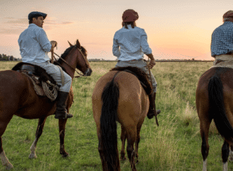 “Un paso muy positivo”: amplio respaldo del agro al proyecto de reforma laboral del Gobierno