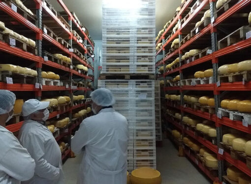 Las exportaciones de lácteos logran su mejor registro en 12 años