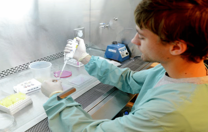 Récord de aprobación de productos genéticamente modificados para el campo en los últimos 2 años