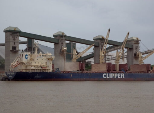 El Gobierno anunció un “récord de mercados” en las exportaciones del agro, con más de 80 nuevos destinos