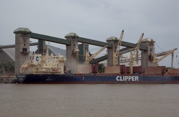 El Gobierno anunció un “récord de mercados” en las exportaciones del agro, con más de 80 nuevos destinos