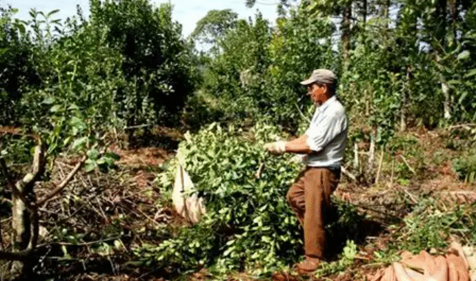 Reforma laboral: el campo busca introducir cambios en la responsabilidad empresarial y el trabajo discontinuo
