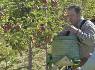 La reforma laboral suma adhesiones del agro y se instala en la agenda parlamentaria