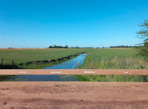 El 2026 comenzará con calor intenso y lluvias variadas en gran parte del área agrícola
