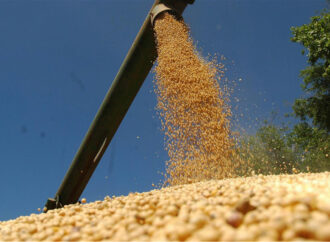 Cayó la molienda en noviembre y el mercado empieza a sentir la escasez de soja