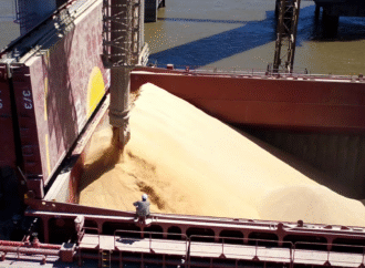 Las exportaciones agroindustriales sumaron US$4715 millones en noviembre y marcaron un máximo en 10 años