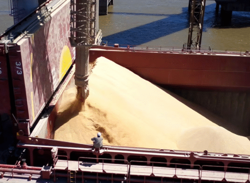 Las exportaciones agroindustriales sumaron US$4715 millones en noviembre y marcaron un máximo en 10 años