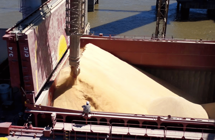 Las exportaciones agroindustriales sumaron US$4715 millones en noviembre y marcaron un máximo en 10 años