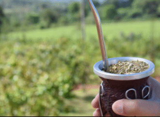 Yerba mate: afirman que hay “buenas perspectivas” exportadoras y una recuperación del mercado interno