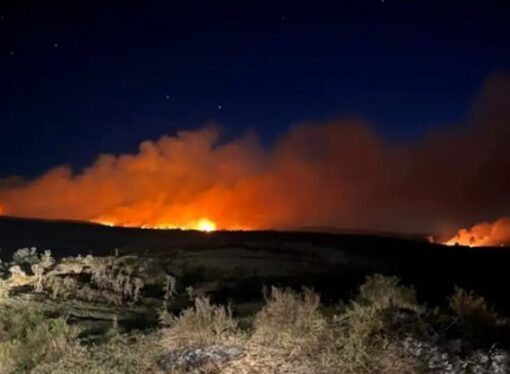 Grave alerta de Carbap: “El campo otra vez bajo fuego”