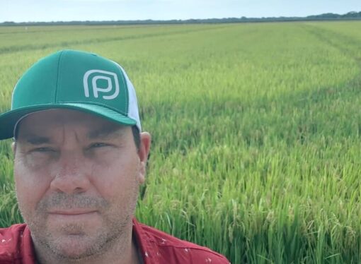 La oportunidad agrícola de Venezuela: “Hay 24 millones de hectáreas paradas, esperando inversores”